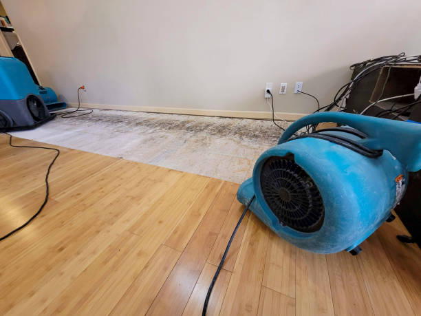 Professional Basement Flood Cleanup technician working in Henderson, KY